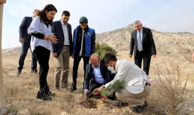 Başkan Sarı, Üniversite öğrencileriyle fidan dikti