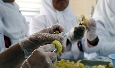 Dar gelirli kadınların finansmanında MicroCreditToken dönemi başlıyor