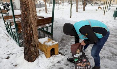 Nizip Belediyesi Sokak hayvanlarını unutmadı.