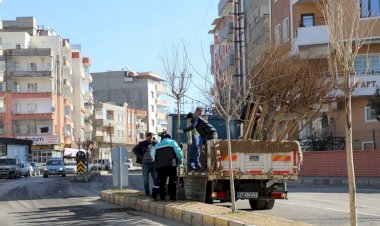 Nizip’te ağaçlandırma çalışması