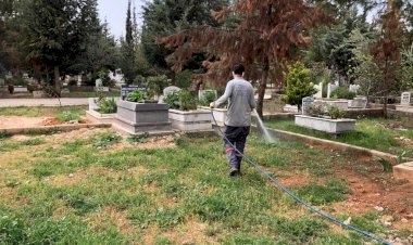 Mezarlıkta Yabani Otlar İlaçlanıyor