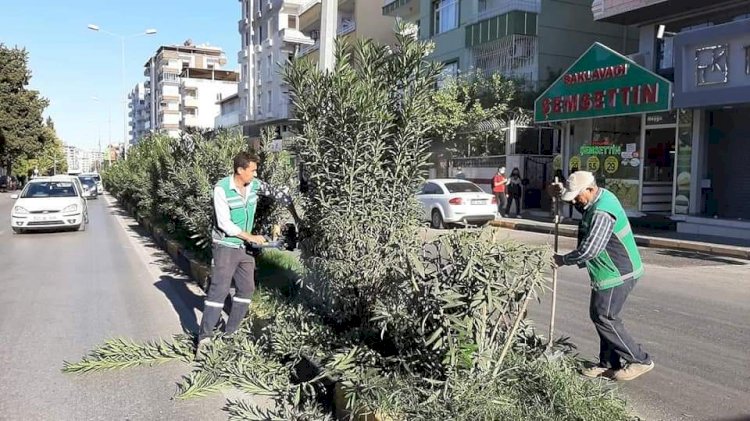 Başkan Sarı, tehlikeyi gördü anında talimat verdi