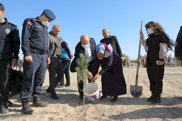 15 Temmuz Şehidi Çakır için hatıra ormanı oluşturuldu