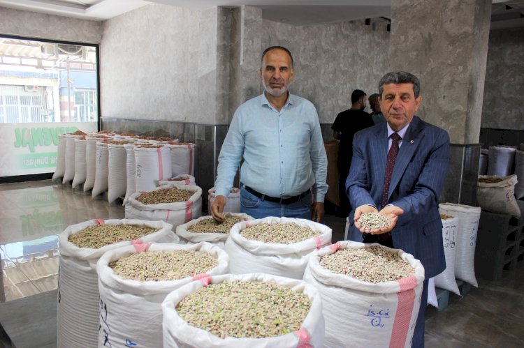 Nizip’te fıstık ihracatı fiyatları artırdı