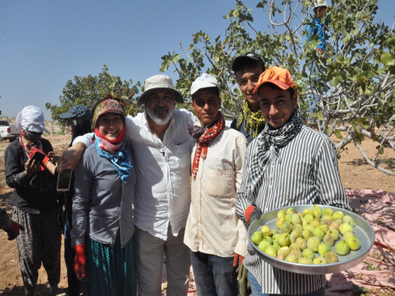 İRANLI MÜHENDİSLER NİZİP TE ANTEP FISTIĞI BAHÇESİNİ GEZDİ