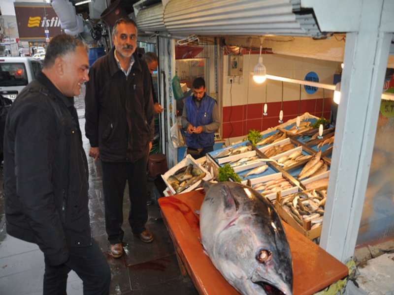 ORKİNOS BALIĞI GÖRENLERİ HAYRAN BIRAKTI