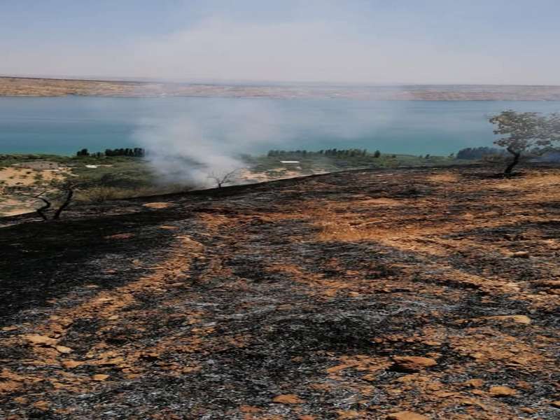 Arazi Yangınında 300 Fıstık Ağacı Zarar Gördü