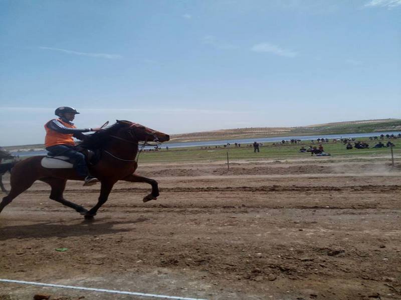 RAHVAN AT YARIŞLARI NİZİPTE DÜZENLENDİ